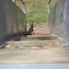 Ramp 3.0m 50 Series - Image 5