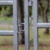 Super 59 Gate in Frame - Image 2