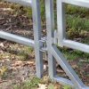 Super 59 Gate in Frame - Image 4